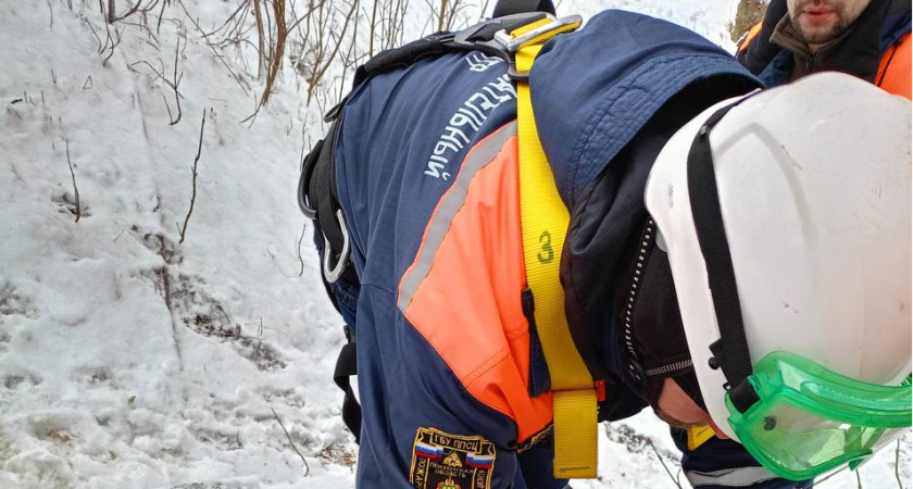 Пензенцам рассказали, как будет работать  служба «122» в новогодние каникулы до 8 января 