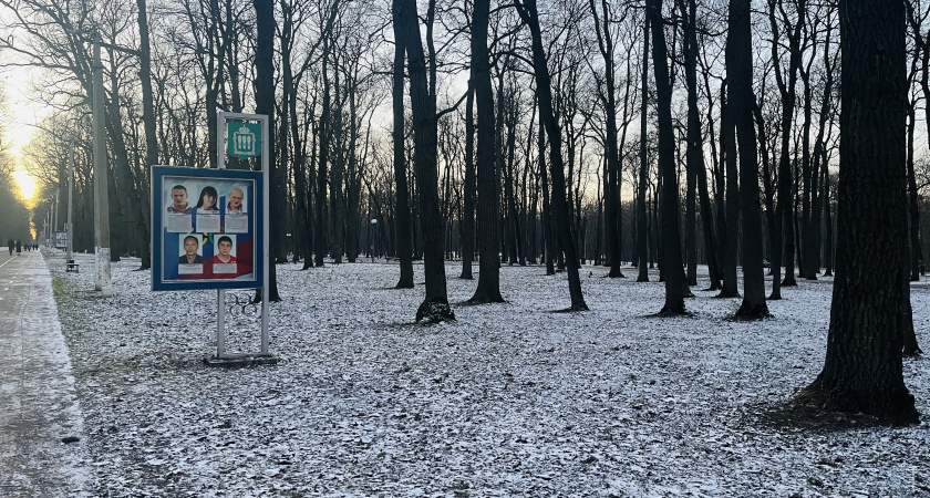 В Пензенской области в период новогодних каникул пройдет декада спорта и здоровья