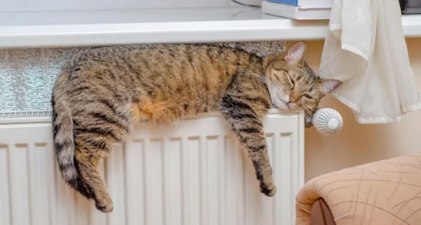 В Пензе восстанавливают отопление в домах после инцидента на теплотрассе