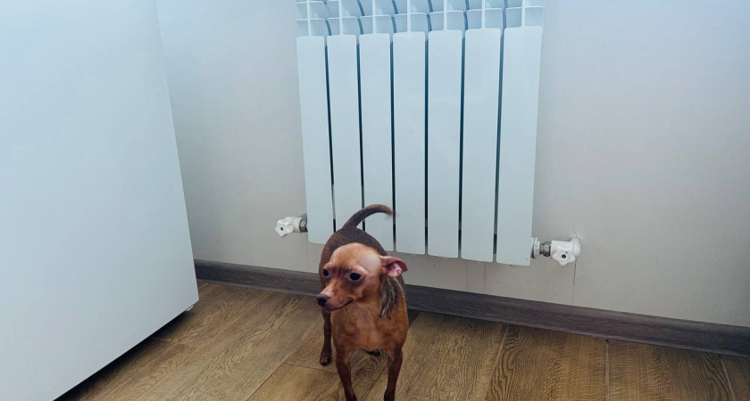 В 2023 году пензенцам вернули более 980 тысяч рублей переплаты за коммунальные услуги