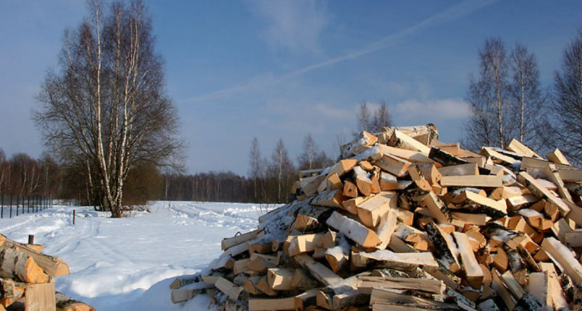 В декабре 20 кубометров дров было отправлено из Пензенской области бойцам в зону СВО 