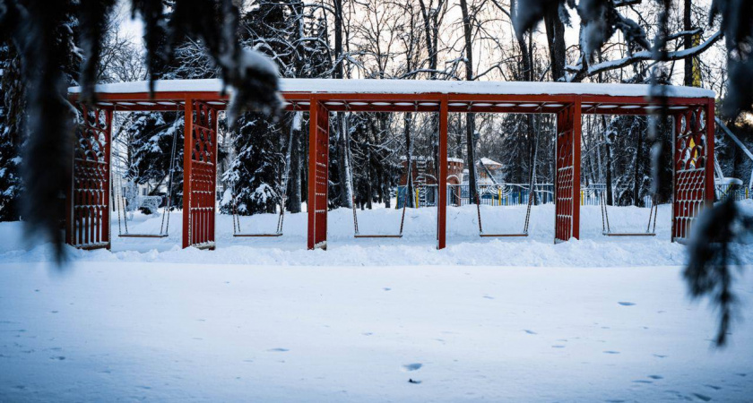 Пензенцы просят не ставить в парке Белинского красные качели и дизайнерские лавочки
