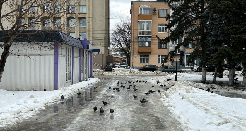 В Сердобске на благоустройство пешеходной зоны выделили 15 миллионов рублей 