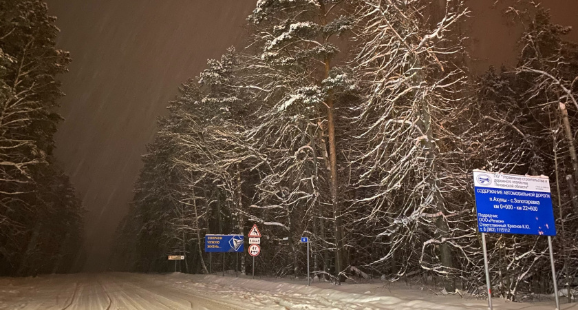 "Февраль запомнится арктическими морозами": в последний месяц зимы россиян ждет погодный ужас