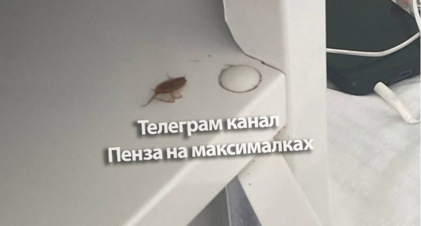 В сети пензенцы рассказали о "нападении" тараканов в больнице имени Бурденко