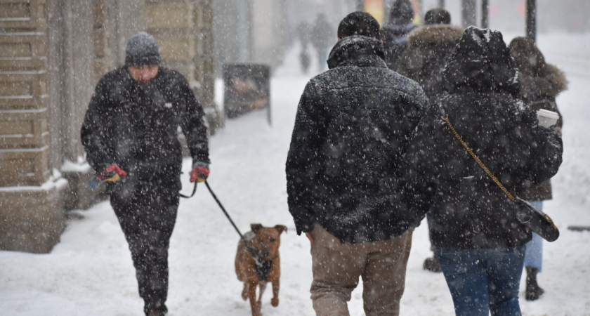 Снежный апокалипсис: Гидрометцентр предупредил о сильнейшем снегопаде, который продлится сутки