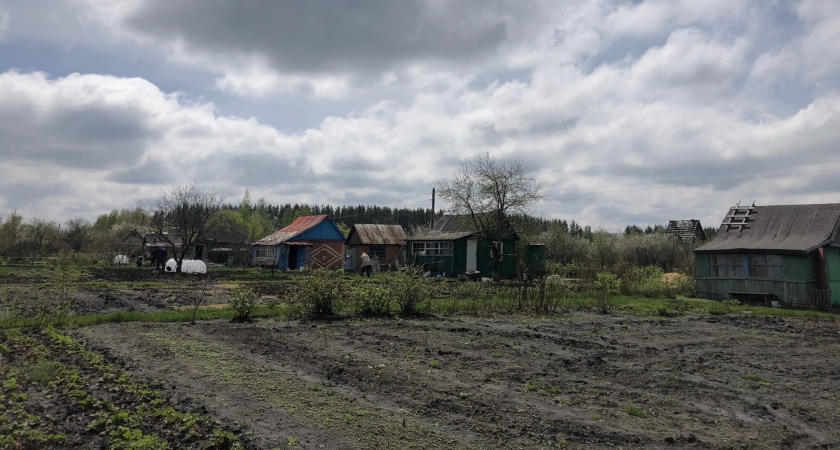 Не только редис: что нужно посадить на грядке ранней весной — сказочный урожай будет уже в мае