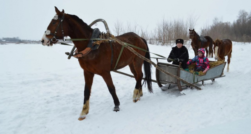 Жительница Сердобска заключила соцконтракт для развития конного туризма