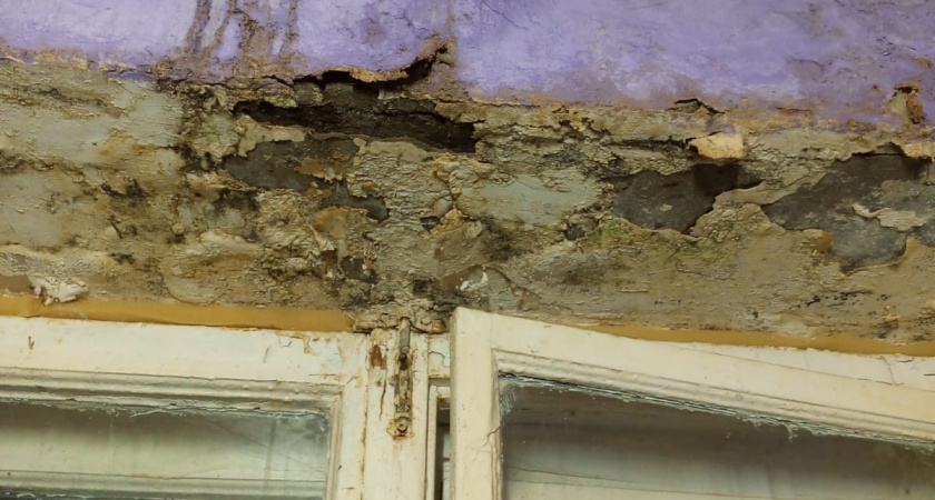 Пензячка живет в квартире с разрушающимся потолком из-за дырявой кровли дома