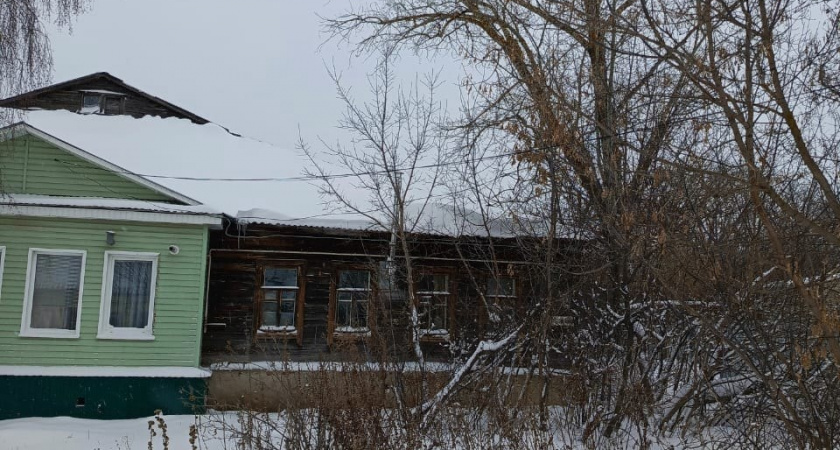 Жители Кузнецка боятся за свою жизнь из-за аварийного дерева 