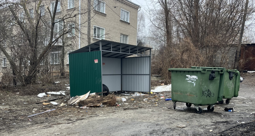 «Невозможно открыть окна от вони»:жители Военного городка жалуются на  «мусорный апокалипсис» 