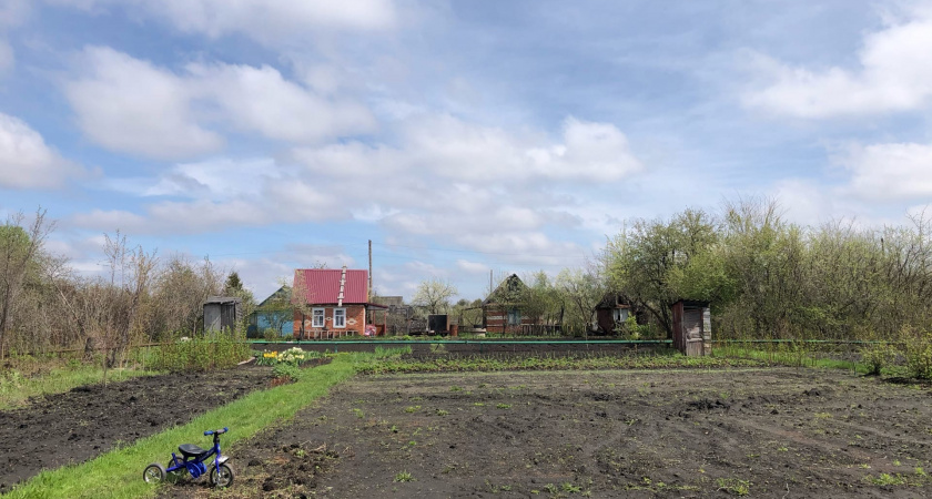 Вот для чего опытные дачники раскидывают по грядкам фольгу: сначала смеялись, а потом обомлели