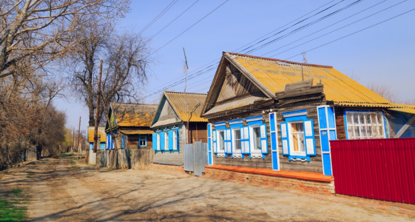 Самое популярное растение у дачников теперь запретили выращивать: новое правило с 6 апреля