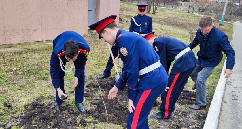 5 апреля Пензенская область присоединилась к акции памяти «Сирень ко Дню победы»