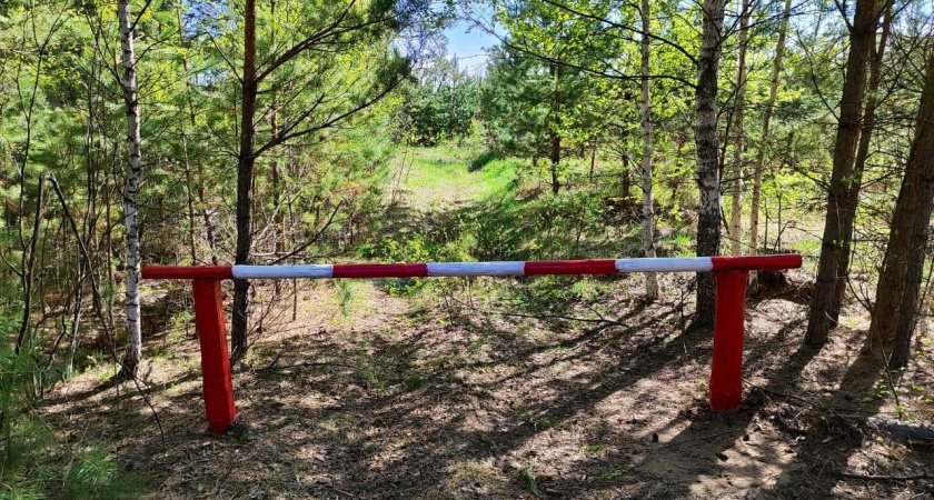 В Пензенской области сделают платным посещение заповедников и заказников