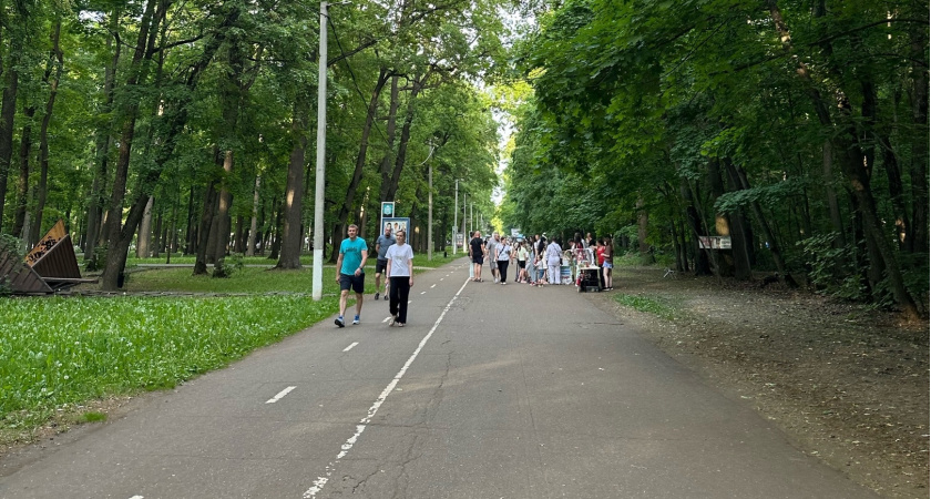 Клещи гибнут молниеносно: копеечное средство защищает лучше всех магазинных аэрозолей