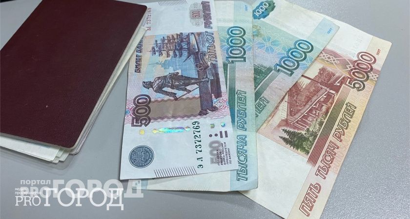Среднемесячная зарплата в Пензенской области поднялась до 51,3 тыс. рублей