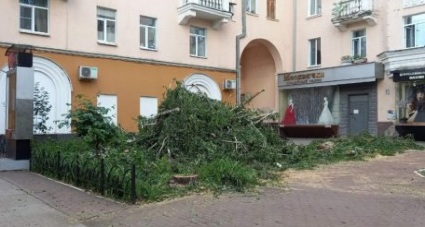 В управлении ЖКХ рассказали, зачем вырубили деревья у памятника «Покаяние»