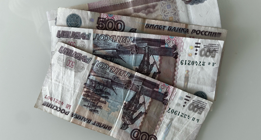 В Пензе 22-летняя девушка, желая стать акционером, потеряла более одного миллиона рублей