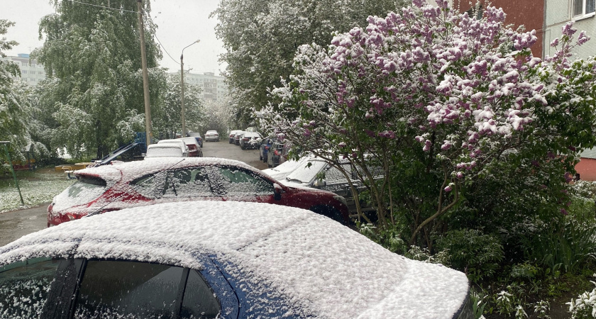 Заморозки в разгар лета, снег и сильные ливни: россиян ждет аномальная погода до конца этой недели