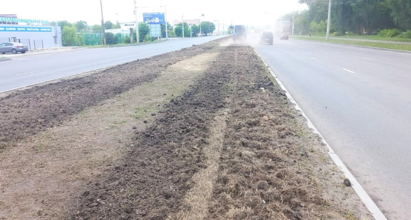 Басенко сообщил, что вдоль дороги на улице Чаадаева обновят газон