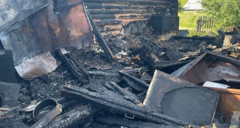 Трагедия в селе Вадинск: На улице Новая Покровская произошел смертельный пожар