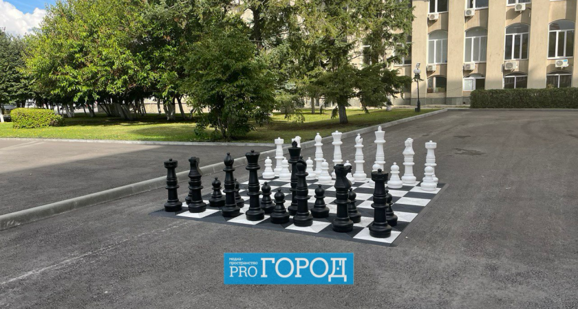 Пензенские шахматисты отметили профессиональный праздник