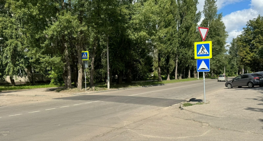 В Пензе на улице Одесской установили «лежачего полицейского»