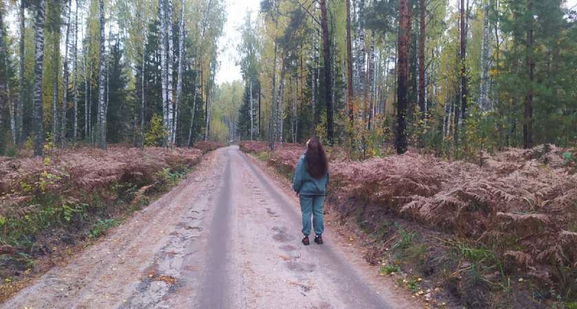 Народные приметы: 3 сентября. Не делайте этого в Фаддеев день, если не хотите обрасти долгами