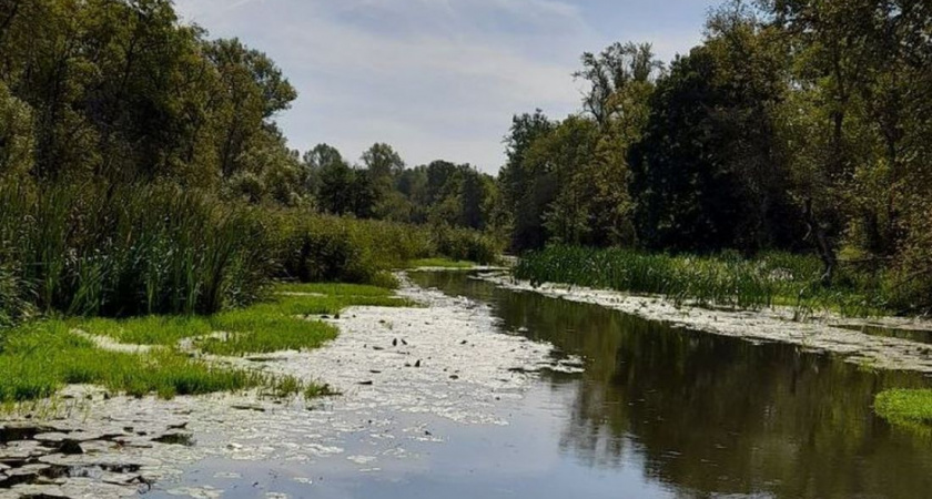 Добровольцы из Пензы очищают русло Старой Суры