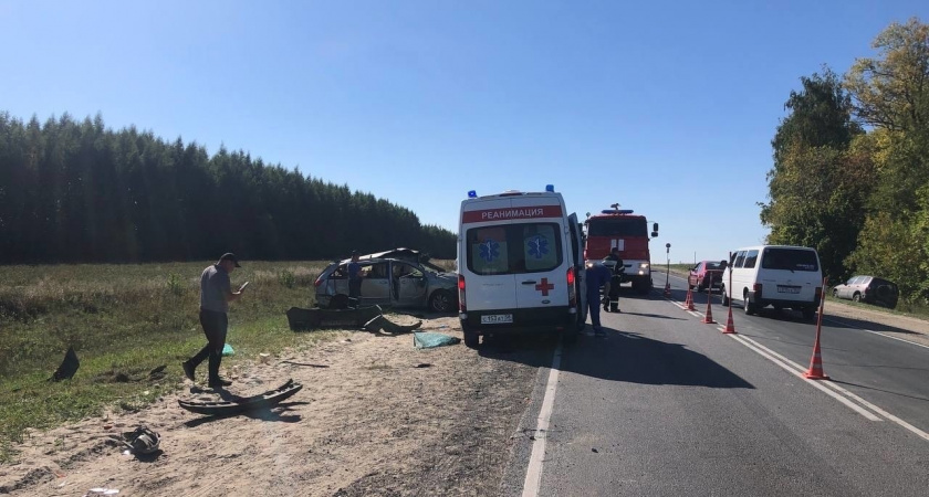 Двое погибли и шестеро пострадали в ДТП с минивеном под Пензой