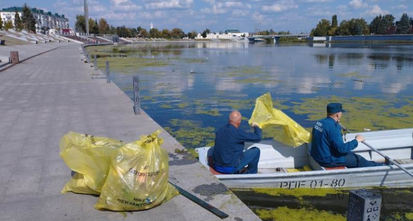 В Пензе от мусора очищена водная гладь р. Суры