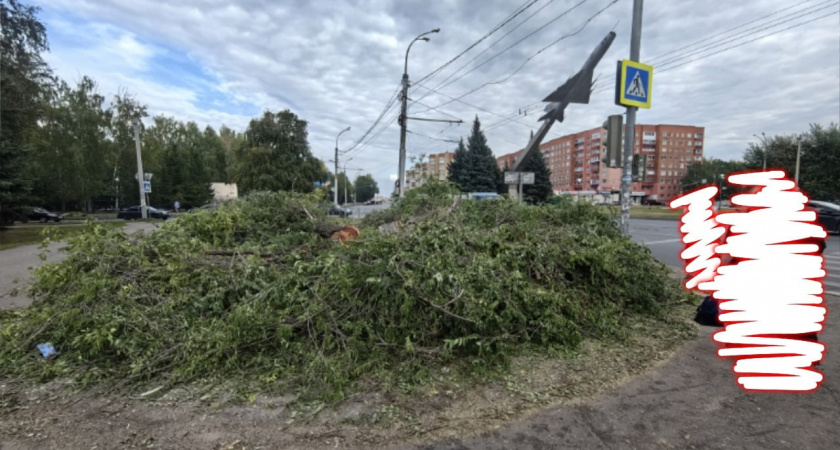 Пензенцы пожаловались, что спили единственное дерево у "самолета"