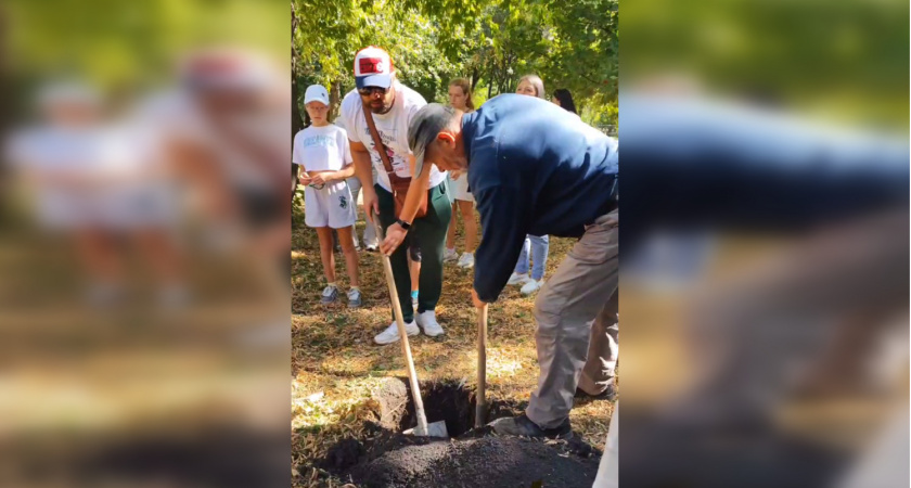 В Пензенском зоопарке посалили 5 клёнов и 3 пирамидальных туй