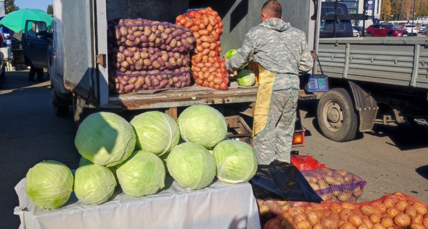 Пензенски фермеры представят свою продукцию 28 и 29 сентября около ТРК «Коллаж» 