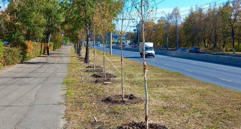 Глава Пензы рассказал о продолжении мероприятий по озеленению города