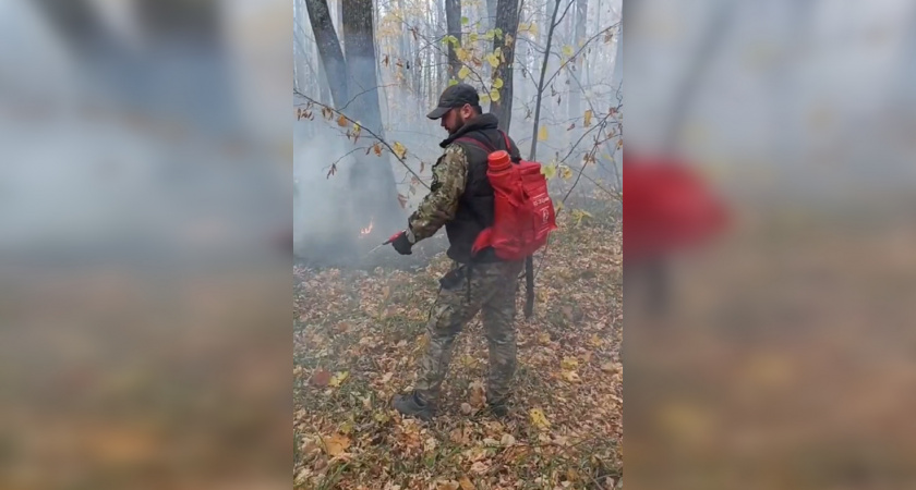 Огнеборцы потушили лесной пожар в Нижнеломовском районе площадью 2 га