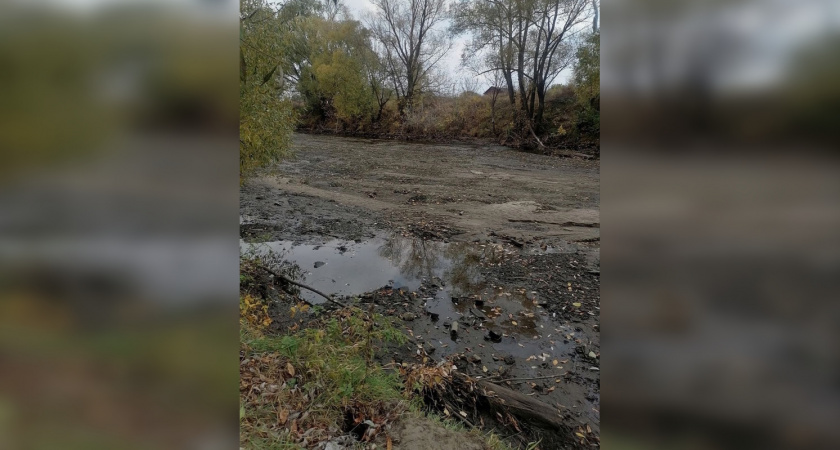 Резко исчезла вода в реке Сердобы: жители бьют тревогу 