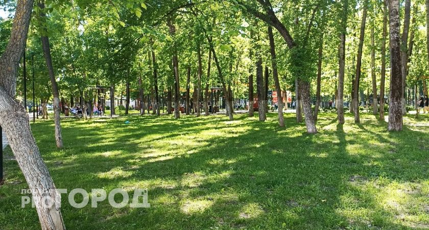 В парке Спасска поставят общественный туалет по решению суда 