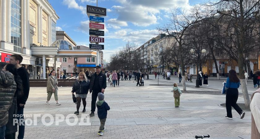 В Пензе на Московской снесут самовольную постройку  