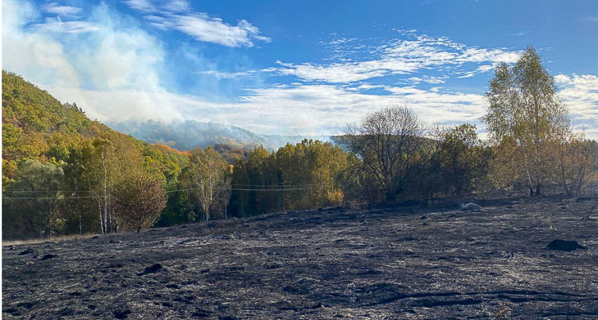 В Пензенской области с 23 октября будет отменен особый противопожарный режим