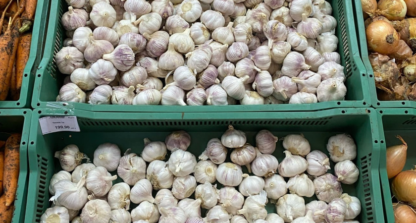 Этим пользовались наши предки: положите чеснок под подушку и уже утром увидите эффект