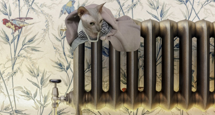 Новые льготы для всех пенсионеров: за воду и отопление с 1 ноября можно не платить