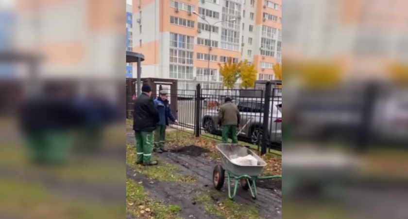 Восемь саженцев берёзок высадили в Детском парке Пензы