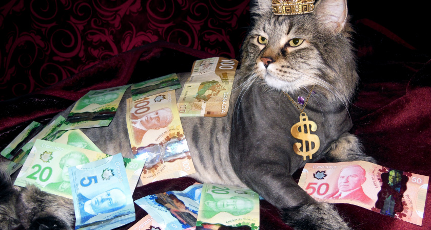 «Закрутит в денежном вихре»: Тамара Глоба предсказала финансовый успех лишь этим четырем знакам после 10 ноября 