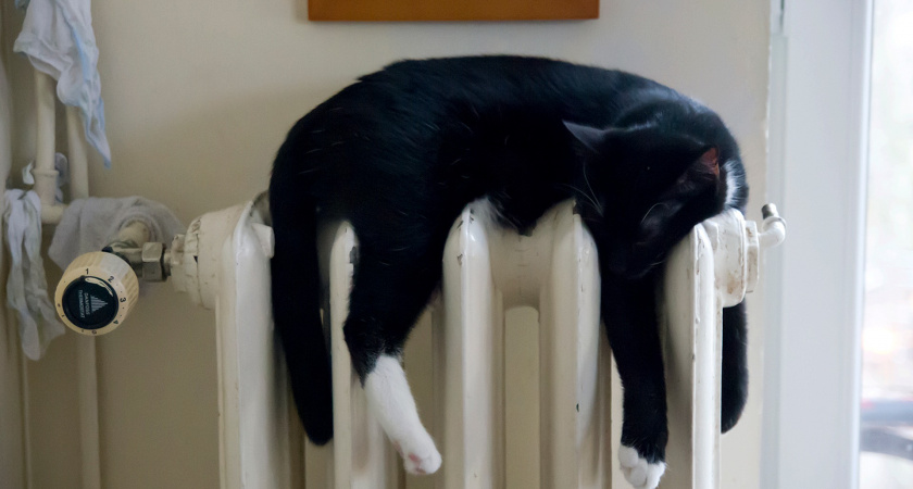 «Гораздо хуже роста цен»: россиянам начнут слать штрафы за радиаторы отопления