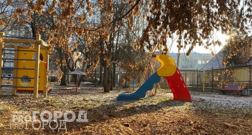 Из-за штормового ветра пензенские энергетики - в режиме повышенной готовности