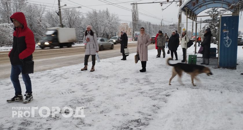 Стоимость проезда в транспорте Кузнецка повышать не будут