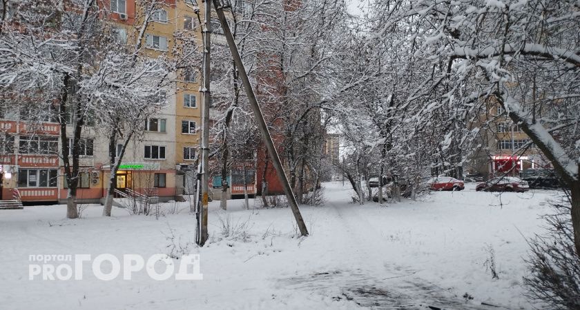 3 079 частных домов ввели в эксплуатацию в Пензенской области в 2024 году