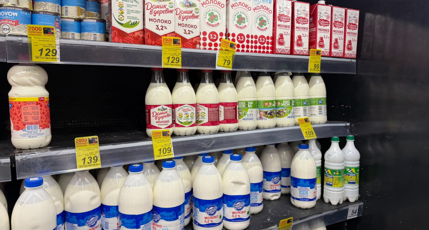 «Простая вода с побелкой»: Росконтроль назвал марки молока, которые лучше не покупать даже по акции